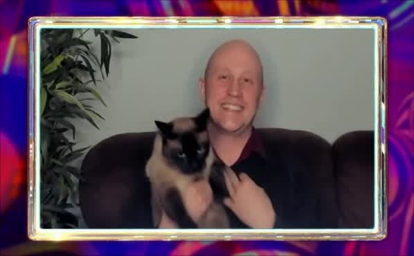 Count-Attack Cat